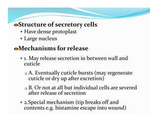   tructure of secretory cells 
  S
       Have dense protoplast 
       Large nucleus  


   echanisms for release 
  M
       1. May release secretion in between wall and 
      cuticle  
          A. Eventually cuticle bursts (may regenerate 
           cuticle or dry up after excretion)  
          B. Or not at all but individual cells are severed 
           after release of secretion 
       2.Special mechanism (tip breaks off and 
      contents e.g. histamine escape into wound) 
  
 