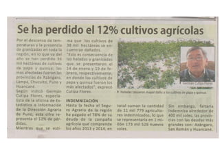 12   se ha perdido el 12% de los cultivos agr+icolas
