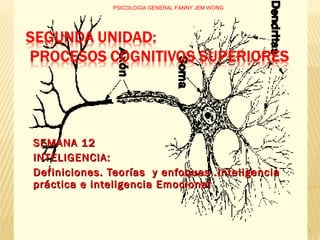 SEMANA 12 INTELIGENCIA:  Definiciones. Teorías  y enfoques .Inteligencia práctica e inteligencia Emocional PSICOLOGÍA GENERAL FANNY JEM WONG 