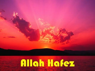 Allah Hafez
 