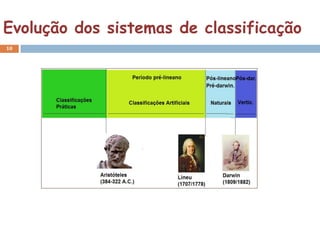 Evolução dos sistemas de classificação
10
 