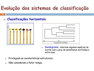 Evolução dos sistemas de classificação
12


        Classificações horizontais




                                          Dendograma relaciona algumas espécies de
                                           acordo com o grau de semelhança morfológica
                                           entre elas.

        Privilegiam as caraterísticas estruturais.
        Não consideram o fator tempo.
 