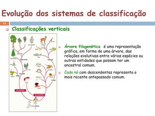 Evolução dos sistemas de classificação
14

    Classificações verticais


                           Árvore filogenética é uma representação
                            gráfica, em forma de uma árvore, das
                            relações evolutivas entre várias espécies ou
                            outras entidades que possam ter um
                            ancestral comum.
                           Cada nó com descendentes representa o
                            mais recente antepassado comum.
 