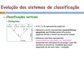 Evolução dos sistemas de classificação
16


    Classificações verticais
      Cladograma

                             A, B, C e D representam espécies.
                             Números a preto representam características
                              ancestrais, partilhadas pelas diferentes
                              espécies devido a terem um ancestral comum.
                             Números coloridos representam
                              características derivadas ou “evoluídas”
                              presentes nos indivíduos de um grupo e que não
                              existem no ancestral, revelando que houve
                              separação de um novo ramo – evolução.
 