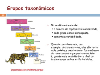 Grupos taxonómicos
23




                       No sentido ascendente:
                         o número de espécies vai aumentando,
                         cada grupo é mais abrangente,
                         aumenta a variabilidade.


                       Quando considerarmos, por
                        exemplo, dois seres vivos, eles são tanto
                        mais próximos quanto maior for o número
                        de taxa comuns a que pertencem, isto
                        é, quanto mais restrito for o nível do
                        taxon em que ambos estão incluídos.
 