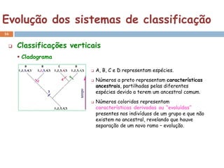 Evolução dos sistemas de classificação
16


    Classificações verticais
      Cladograma

                             A, B, C e D representam espécies.
                             Números a preto representam características
                              ancestrais, partilhadas pelas diferentes
                              espécies devido a terem um ancestral comum.
                             Números coloridos representam
                              características derivadas ou “evoluídas”
                              presentes nos indivíduos de um grupo e que não
                              existem no ancestral, revelando que houve
                              separação de um novo ramo – evolução.
 