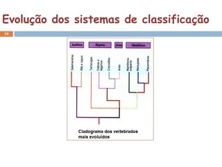 Evolução dos sistemas de classificação
18
 