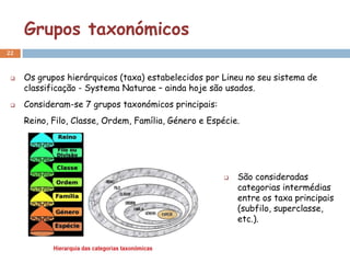 Grupos taxonómicos
22



    Os grupos hierárquicos (taxa) estabelecidos por Lineu no seu sistema de
     classificação - Systema Naturae – ainda hoje são usados.
    Consideram-se 7 grupos taxonómicos principais:
     Reino, Filo, Classe, Ordem, Família, Género e Espécie.




                                                          São consideradas
                                                           categorias intermédias
                                                           entre os taxa principais
                                                           (subfilo, superclasse,
                                                           etc.).
 
