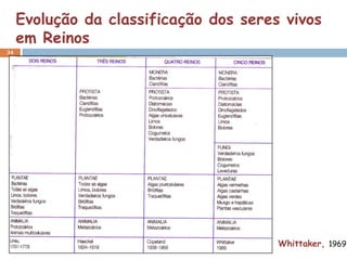 Evolução da classificação dos seres vivos
     em Reinos
34




                                        Whittaker, 1969
 