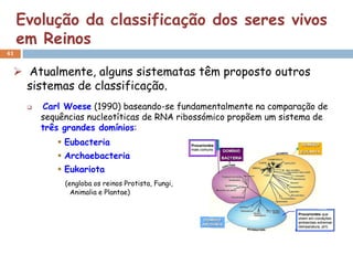 Evolução da classificação dos seres vivos
     em Reinos
41


  Atualmente, alguns sistematas têm proposto outros
   sistemas de classificação.
         Carl Woese (1990) baseando-se fundamentalmente na comparação de
          sequências nucleotíticas de RNA ribossómico propõem um sistema de
          três grandes domínios:
              Eubacteria
              Archaebacteria
              Eukariota
               (engloba os reinos Protista, Fungi,
                 Animalia e Plantae)
 