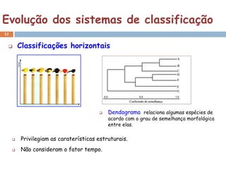 Evolução dos sistemas de classificação
12


        Classificações horizontais




                                          Dendograma relaciona algumas espécies de
                                           acordo com o grau de semelhança morfológica
                                           entre elas.

        Privilegiam as caraterísticas estruturais.
        Não consideram o fator tempo.
 