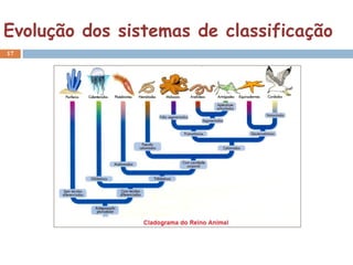 Evolução dos sistemas de classificação
17
 