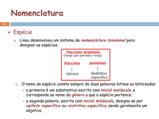 Nomenclatura
26


      Espécie
          Lineu desenvolveu um sistema de nomenclatura binominal para
           designar as espécies.




          O nome da espécie consta sempre de duas palavras latinas ou latinizadas:
               a primeira é um substantivo escrito com inicial maiúscula e
                corresponde ao nome do género a que a espécie pertence;
               a segunda palavra, escrita com inicial minúscula, designa-se por
                epíteto específico ou restritivo específico, sendo geralmente um
                adjetivo.
 