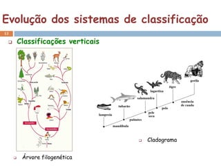 Evolução dos sistemas de classificação
13

        Classificações verticais




                                       Cladograma


         Árvore filogenética
 