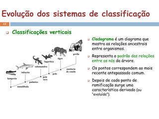 Evolução dos sistemas de classificação
15


    Classificações verticais
                                   Cladograma é um diagrama que
                                    mostra as relações ancestrais
                                    entre organismos.
                                   Representa o padrão das relações
                                    entre os nós da árvore.
                                   Os pontos correspondem ao mais
                                    recente antepassado comum.
                                   Depois de cada ponto de
                                    ramificação surge uma
                                    característica derivada (ou
                                    “evoluída”).
 
