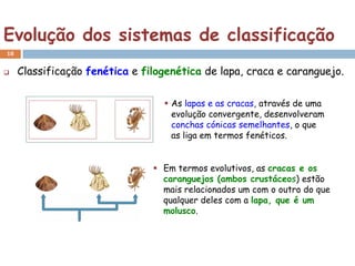Evolução dos sistemas de classificação
18


    Classificação fenética e filogenética de lapa, craca e caranguejo.

                                   As lapas e as cracas, através de uma
                                    evolução convergente, desenvolveram
                                    conchas cónicas semelhantes, o que
                                    as liga em termos fenéticos.


                                 Em termos evolutivos, as cracas e os
                                  caranguejos (ambos crustáceos) estão
                                  mais relacionados um com o outro do que
                                  qualquer deles com a lapa, que é um
                                  molusco.
 