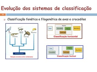 Evolução dos sistemas de classificação
19


    Classificação fenética e filogenética de aves e crocodilos
 