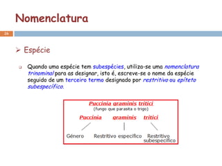Nomenclatura
26



      Espécie

        Quando uma espécie tem subespécies, utiliza-se uma nomenclatura
         trinominal para as designar, isto é, escreve-se o nome da espécie
         seguido de um terceiro termo designado por restritivo ou epíteto
         subespecífico.
 