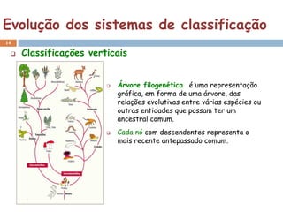 Evolução dos sistemas de classificação
14

    Classificações verticais


                           Árvore filogenética é uma representação
                            gráfica, em forma de uma árvore, das
                            relações evolutivas entre várias espécies ou
                            outras entidades que possam ter um
                            ancestral comum.
                           Cada nó com descendentes representa o
                            mais recente antepassado comum.
 