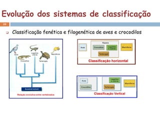 Evolução dos sistemas de classificação
20


    Classificação fenética e filogenética de aves e crocodilos
 