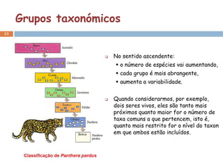 Grupos taxonómicos
23




                       No sentido ascendente:
                         o número de espécies vai aumentando,
                         cada grupo é mais abrangente,
                         aumenta a variabilidade.


                       Quando considerarmos, por exemplo,
                        dois seres vivos, eles são tanto mais
                        próximos quanto maior for o número de
                        taxa comuns a que pertencem, isto é,
                        quanto mais restrito for o nível do taxon
                        em que ambos estão incluídos.
 