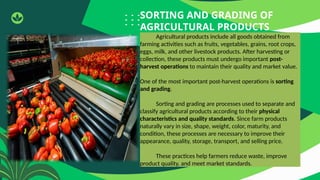 Comprehensive Guide to Sorting and Grading Agricultural Products for ...