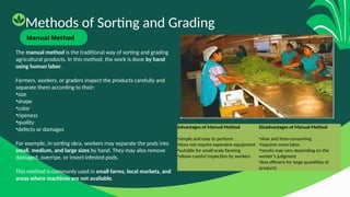 Comprehensive Guide to Sorting and Grading Agricultural Products for ...