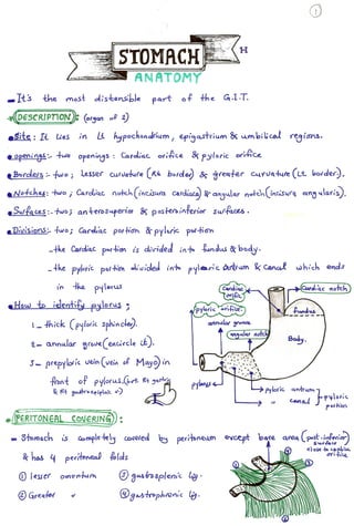 stomach surgery for medical students 