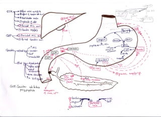 stomach surgery for medical students 