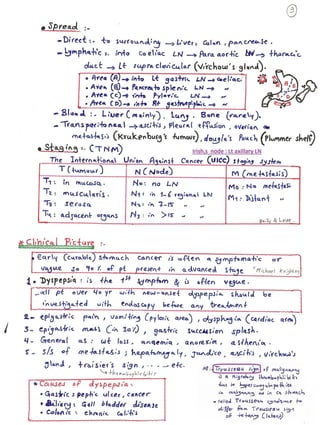 stomach surgery for medical students 