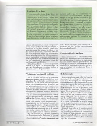 12 tejido-esqueletico1