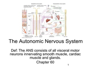 1
The Autonomic Nervous System
Def: The ANS consists of all visceral motor
neurons innervating smooth muscle, cardiac
muscle and glands.
Chapter 60
 
