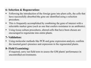 6- Selection & Regeneration:
 Following the introduction of the foreign gene into plant cells, the cells that
have successfully absorbed the gene are identified using a selection
procedure.
 This is frequently accomplished by combining the gene of interest with a
selectable marker gene (such as one that confers resistance to an antibiotic).
 Using tissue culture procedures, altered cells that have been chosen are
encouraged to regenerate into entire plants.
7- Validation:
 Using molecular methods like PCR and gene expression analysis, confirm
the inserted gene's presence and expression in the regenerated plants.
8- Field Examining:
If required, carry out field tests to assess the GM plants' performance in
uncontrolled environments.
 