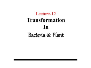 Lecture-12
Transformation
In
Bacteria & Plant
 