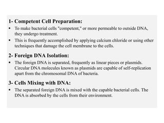 1- Competent Cell Preparation:
 To make bacterial cells "competent," or more permeable to outside DNA,
they undergo treatment.
 This is frequently accomplished by applying calcium chloride or using other
techniques that damage the cell membrane to the cells.
2- Foreign DNA Isolation:
 The foreign DNA is separated, frequently as linear pieces or plasmids.
Circular DNA molecules known as plasmids are capable of self-replication
apart from the chromosomal DNA of bacteria.
3- Cells Mixing with DNA:
 The separated foreign DNA is mixed with the capable bacterial cells. The
DNA is absorbed by the cells from their environment.
 