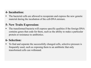 4- Incubation:
 The bacterial cells are allowed to recuperate and express the new genetic
material during the incubation of the cell-DNA mixture.
5- New Traits Expression:
 The transformed bacteria will express specific qualities if the foreign DNA
contains genes that code for them, such as the ability to make a particular
protein or resistance to antibiotics.
6- Selection:
 To find and separate the successfully changed cells, selective pressure is
frequently used, such as exposing them to an antibiotic that only
transformed cells can withstand.
 