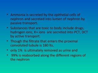 • Ammonia is secreted by the epithelial cells of
  nephron and secreted into lumen of nephron by
  passive transport.
• Substances that are toxic to body include drugs,
  hydrogen ions, K+ ions are secreted into PCT, DCT
  by active transport.
• Though the filtrate that enters the proximal
  convoluted tubule is 180 lts,
• only 1% is ultimately removed as urine and
• 99% is reabsorbed along the different regions of
  the nephron
 