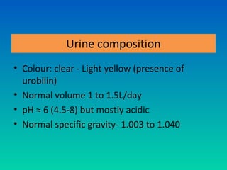 Urine composition
• Colour: clear - Light yellow (presence of
  urobilin)
• Normal volume 1 to 1.5L/day
• pH ≈ 6 (4.5-8) but mostly acidic
• Normal specific gravity- 1.003 to 1.040
 