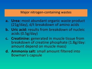 Major nitrogen-containing wastes

a. Urea: most abundant organic waste product
   (21g/day), d/t breakdown of amino acids
b. Uric acid: results from breakdown of nucleic
   acids (0.5g/day)
c. Creatinine: generated in muscle tissue from
   breakdown of creatine phosphate (1.8g/day:
   amount depend on muscle mass)
d. Ammonia salt: small amount filtered into
   Bowman’s capsule
 
