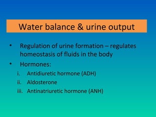 Water balance & urine output
•    Regulation of urine formation – regulates
     homeostasis of fluids in the body
•    Hormones:
    i. Antidiuretic hormone (ADH)
    ii. Aldosterone
    iii. Antinatriuretic hormone (ANH)
 