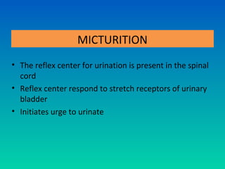 MICTURITION
• The reflex center for urination is present in the spinal
  cord
• Reflex center respond to stretch receptors of urinary
  bladder
• Initiates urge to urinate
 