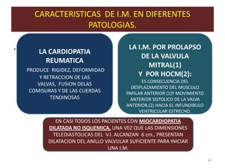 CARACTERISTICAS DE I.M. EN DIFERENTES
                  PATOLOGIAS.

.       LA CARDIOPATIA
                                          LA I.M. POR PROLAPSO
                                              DE LA VALVULA
          REUMATICA
                                                MITRAL(1)
    PRODUCE RIGIDEZ, DEFORMIDAD
        Y RETRACCION DE LAS                  Y POR HOCM(2):
                                                ES CONSECUENCIA DEL
       VALVAS, FUSION DELAS
                                           DESPLAZAMIENTO DEL MUSCULO
     COMISURAS Y DE LAS CUERDAS          PAPILAR ANTERIOR (1)Y MOVIMIENTO
            TENDINOSAS                     ANTERIOR SISTOLICO DE LA VALVA
                                         ANTERIOR,(2) HACIA EL INFUNDIBULO
                                               VENTRICULAR ESTRECHO.

              EN CASI TODOS LOS PACIENTES CON MIOCARDIOPATIA
           DILATADA NO ISQUEMICA, UNA VEZ QUE LAS DIMENSIONES
             TELEDIASTOLICAS DEL V.I. ALCANZAN 6 cm., PRESENTAN
           DILATACION DEL ANILLO VALVULAR SUFICIENTE PARA INICIAR
                                  UNA I.M.

                                                                             34
 