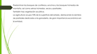 Predominan los bosques de coníferas y encinos y los bosques húmedos de
montaña, así como selvas húmedas, secas y pastizales.
También hay vegetación acuática.
La agricultura ocupa 75% de la superficie del estado, destacando la siembra
de pastizales dedicados a la ganadería, de gran importancia económica en
la entidad.
 