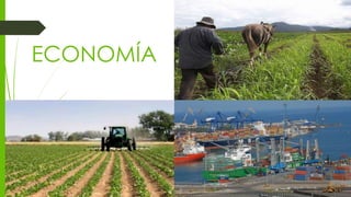 ECONOMÍA
 