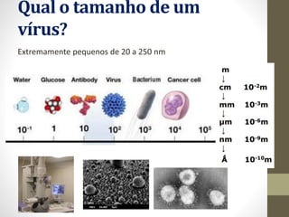 Qual o tamanho de um
vírus?
Extremamente pequenos de 20 a 250 nm
 