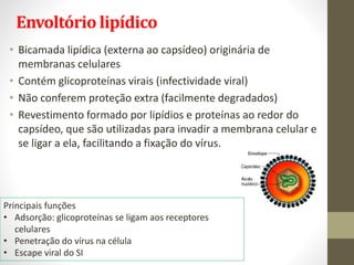 Envoltório lipídico
• Bicamada lipídica (externa ao capsídeo) originária de
membranas celulares
• Contém glicoproteínas virais (infectividade viral)
• Não conferem proteção extra (facilmente degradados)
• Revestimento formado por lipídios e proteínas ao redor do
capsídeo, que são utilizadas para invadir a membrana celular e
se ligar a ela, facilitando a fixação do vírus.
Principais funções
• Adsorção: glicoproteínas se ligam aos receptores
celulares
• Penetração do vírus na célula
• Escape viral do SI
 