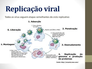 Replicação viral
Todos os vírus seguem etapas semelhantes do ciclo replicativo
 