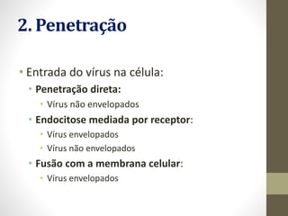 2. Penetração
• Entrada do vírus na célula:
• Penetração direta:
• Vírus não envelopados
• Endocitose mediada por receptor:
• Vírus envelopados
• Vírus não envelopados
• Fusão com a membrana celular:
• Vírus envelopados
 