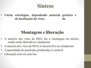 Montagem e liberação
• A maioria dos vírus de DNA faz a montagem no núcleo,
sendo então liberada no citoplasma
• A maioria dos vírus de RNA se desenvolve no citoplasma
• A quantidade de partículas produzidas é variável
• Liberação com ou sem lise
• Várias estratégias, dependendo
do localização do vírus.
material genético e
da
Síntese
 