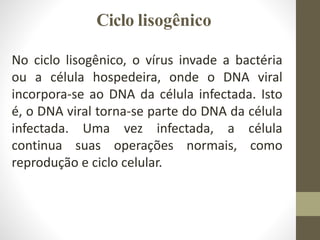 Ciclo lisogênico
No ciclo lisogênico, o vírus invade a bactéria
ou a célula hospedeira, onde o DNA viral
incorpora-se ao DNA da célula infectada. Isto
é, o DNA viral torna-se parte do DNA da célula
infectada. Uma vez infectada, a célula
continua suas operações normais, como
reprodução e ciclo celular.
 
